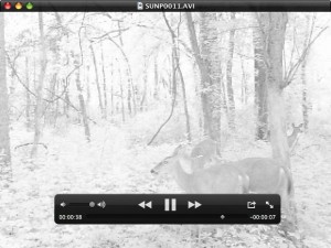 Stealth Cam Nomad IR Picture