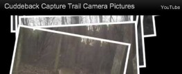 Cuddeback Capture Trail Camera Pictures