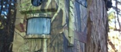 Four Game Cameras Hung, and I’m Paying for it!