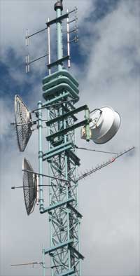Cellular Game Cameras
