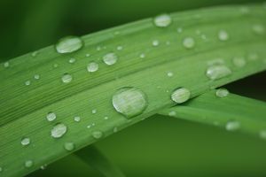 Bad effects of moisture
