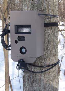 http://www.deertrackingcameras.com/images/pics/moultrie-lock.jpg